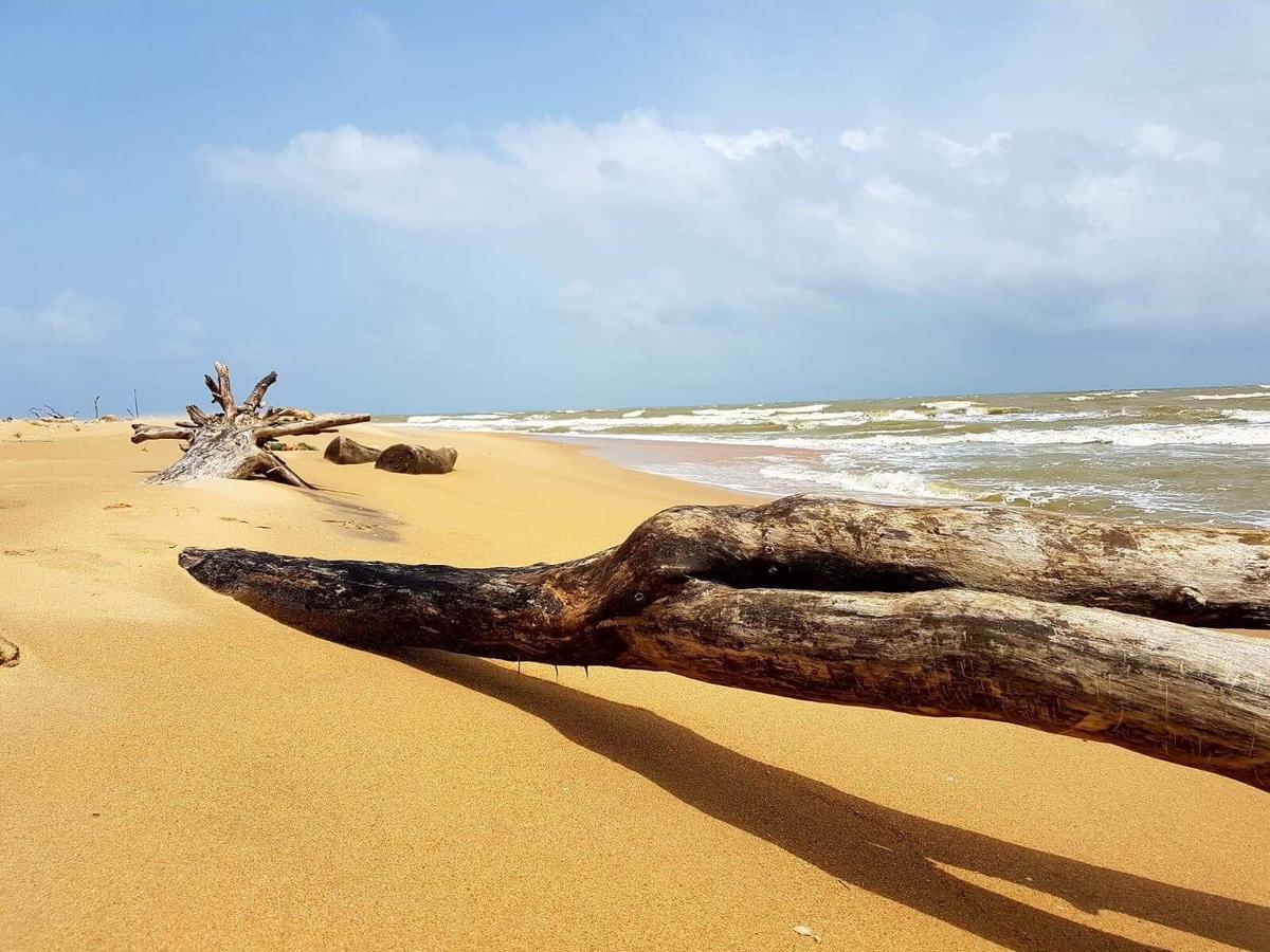 Sun Wind Beach Kalpitiya Kite Resort Екстер'єр фото