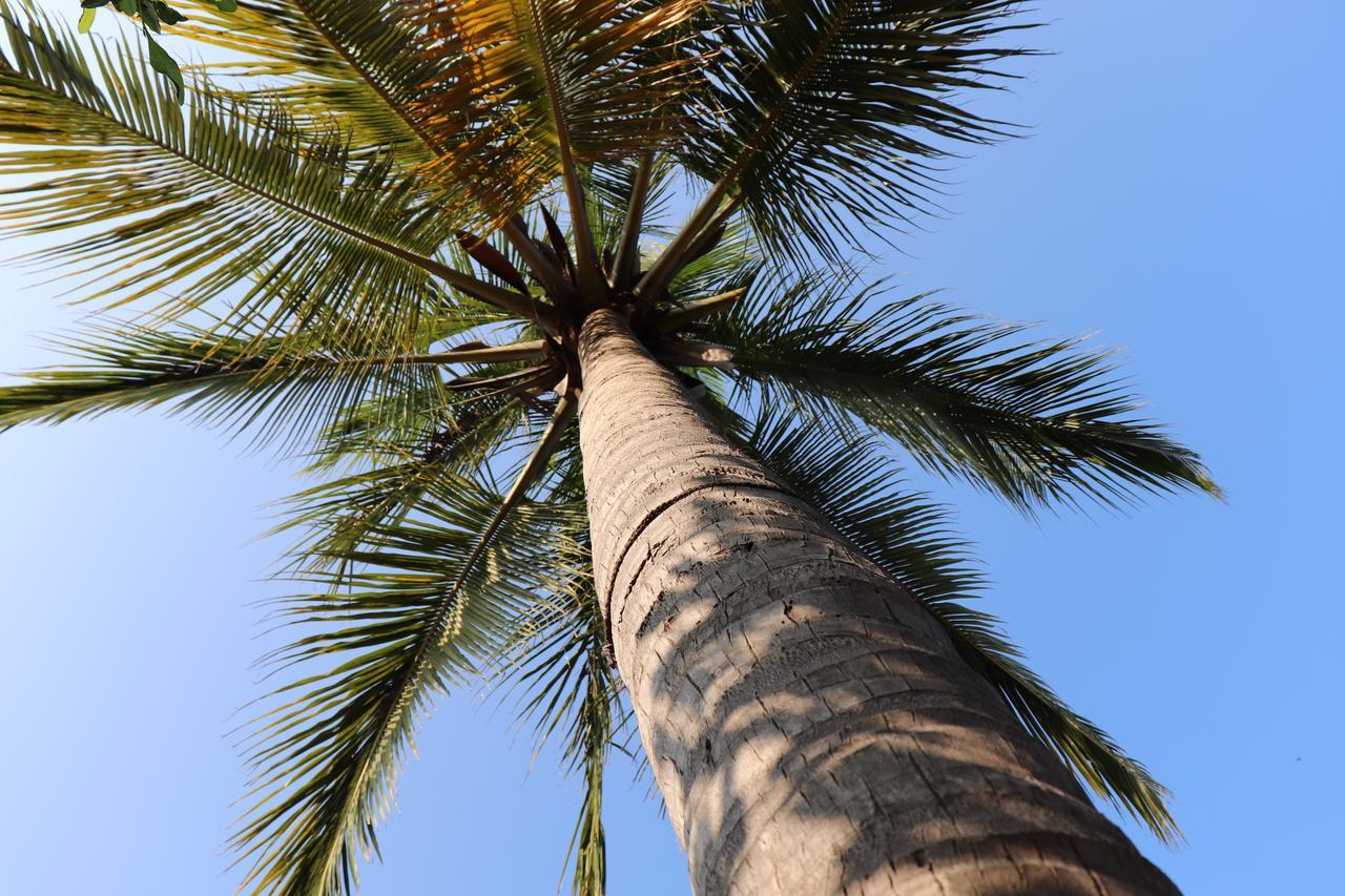 Sun Wind Beach Kalpitiya Kite Resort Екстер'єр фото